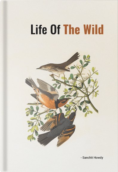 Life of the Wild